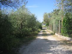 Terreno agricolo in Commerciale