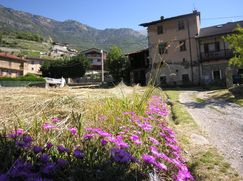Rustico/Casale in Residenziale