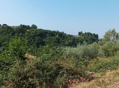 Terreno agricolo in Commerciale