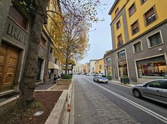 Negozio/Locale commerciale in Commerciale