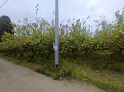 Terreno agricolo in Commerciale