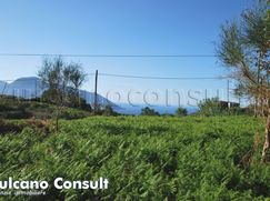 Terreno agricolo in Commerciale