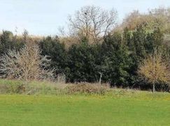 Terreno agricolo in Commerciale