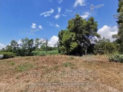 Terreno agricolo in Commerciale