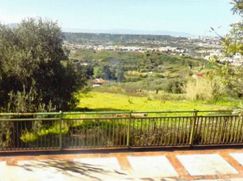 Terreno agricolo in Commerciale