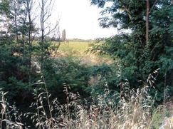 Terreno edificabile in Residenziale