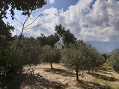 Terreno edificabile in Residenziale