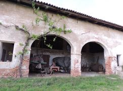 Rustico/Casale in Residenziale
