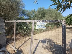 Terreno agricolo in Commerciale