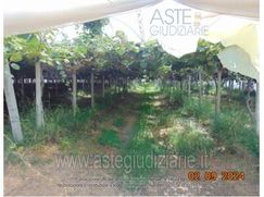 Terreno agricolo in Commerciale