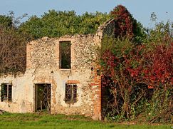 Rustico/Casale in Residenziale