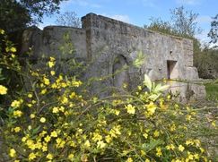 Baita/Bungalow/Chalet/Trullo in Residenziale