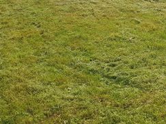 Terreno edificabile in Residenziale