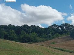 Terreno agricolo in Commerciale