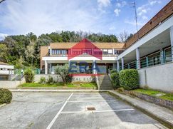 Negozio/Locale commerciale in Commerciale
