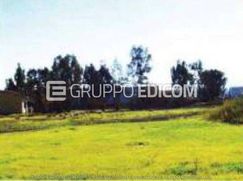Terreno agricolo in Commerciale