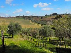 Rustico/Casale in Residenziale