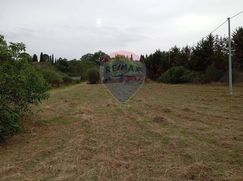 Terreno agricolo in Commerciale