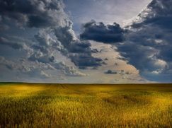 Terreno edificabile in Residenziale