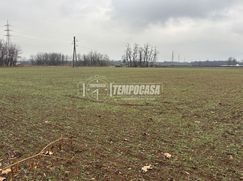 Terreno agricolo in Commerciale