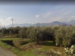 Terreno agricolo in Commerciale