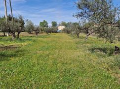 Terreno edificabile in Residenziale