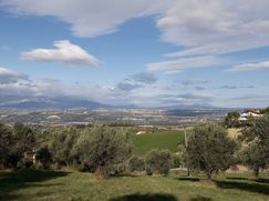 Terreno edificabile in Residenziale