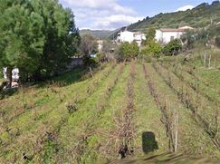 Terreno edificabile in Residenziale