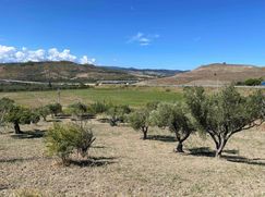 Terreno agricolo in Commerciale