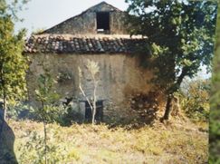 Terreno edificabile in Residenziale