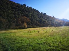 Terreno agricolo in Commerciale