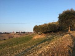 Rustico/Casale in Residenziale