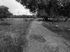 Terreno edificabile in Residenziale