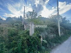 Terreno agricolo in Commerciale