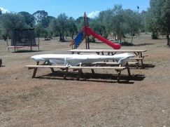 Terreno agricolo in Commerciale