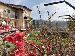 Appartamento in Residenziale