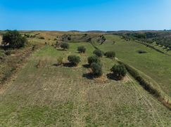 Terreno agricolo in Commerciale