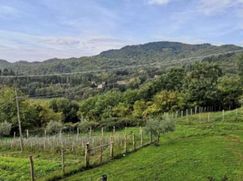 Terreno agricolo in Commerciale