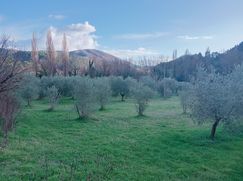 Terreno agricolo in Commerciale