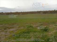 Terreno agricolo in Commerciale