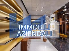 Negozio/Locale commerciale in Commerciale