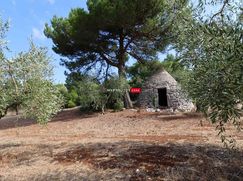 Baita/Bungalow/Chalet/Trullo in Residenziale