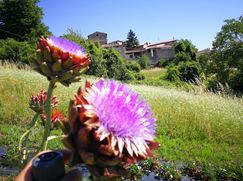 Rustico/Casale in Residenziale