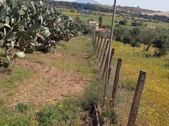 Terreno agricolo in Commerciale