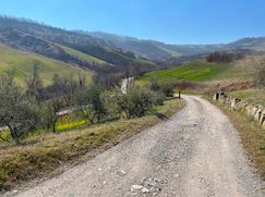 Rustico/Casale in Residenziale