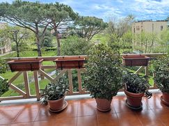 Attico/Mansarda in Residenziale