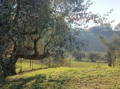 Rustico/Casale in Residenziale