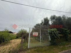 Terreno agricolo in Commerciale
