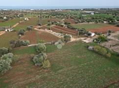 Terreno agricolo in Commerciale