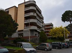 Negozio/Locale commerciale in Commerciale
